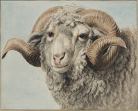 TvB T 070
<br/>
Ramskop
<br/>
<em>Hendriks, Wybrand (1744-1831)</em>